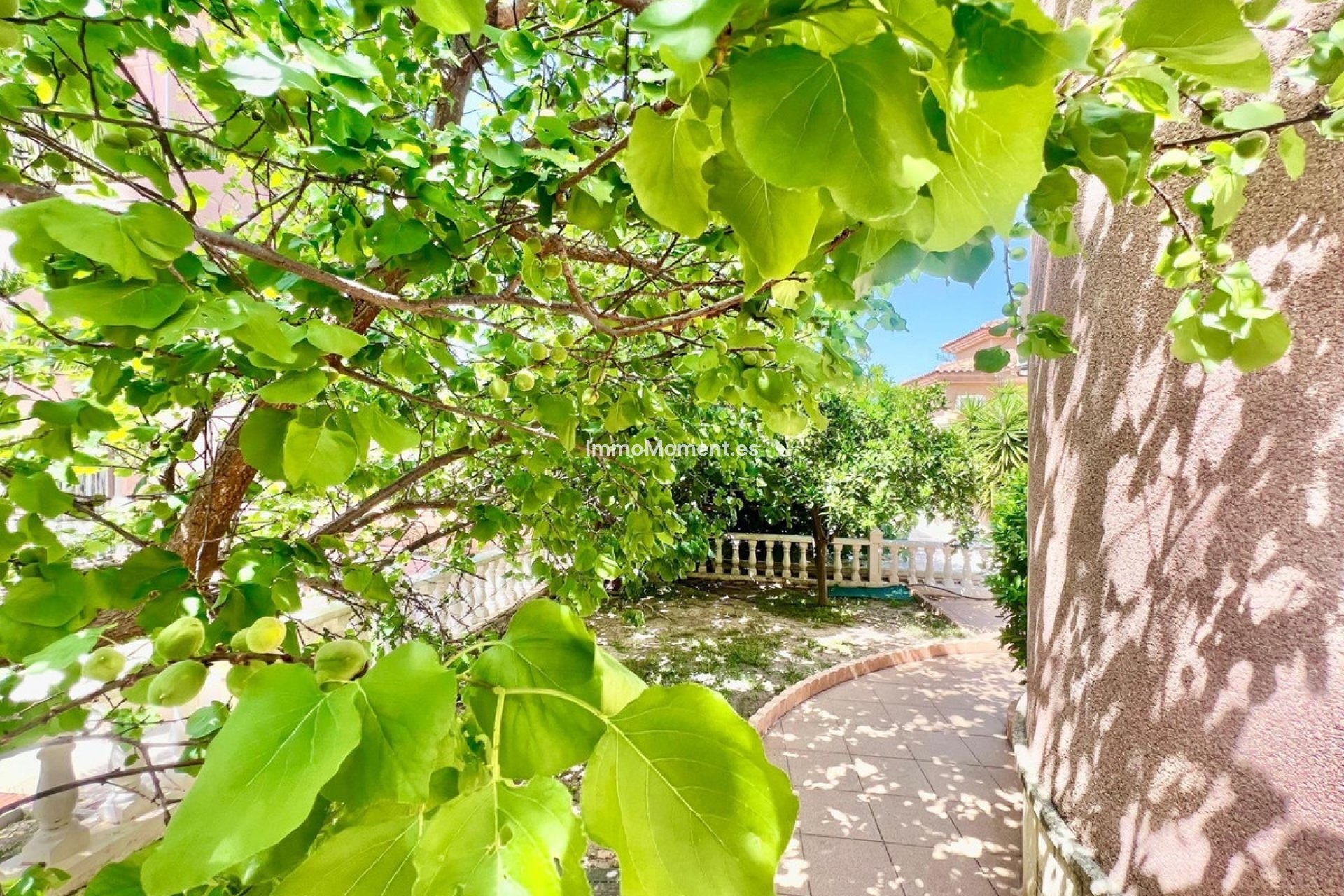 Wiederverkauf - Villa - Torrevieja - Torrevieja Centro