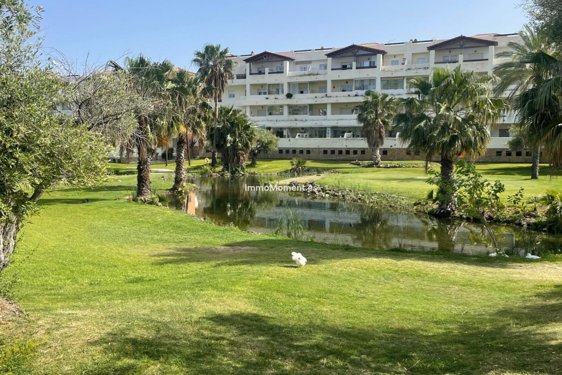 Wiederverkauf - Wohnung - Benalmadena - Benalmadena Centro