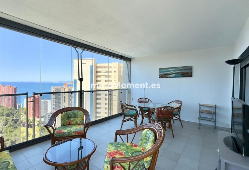 Wiederverkauf - Wohnung - Benidorm - Benidorm Centro
