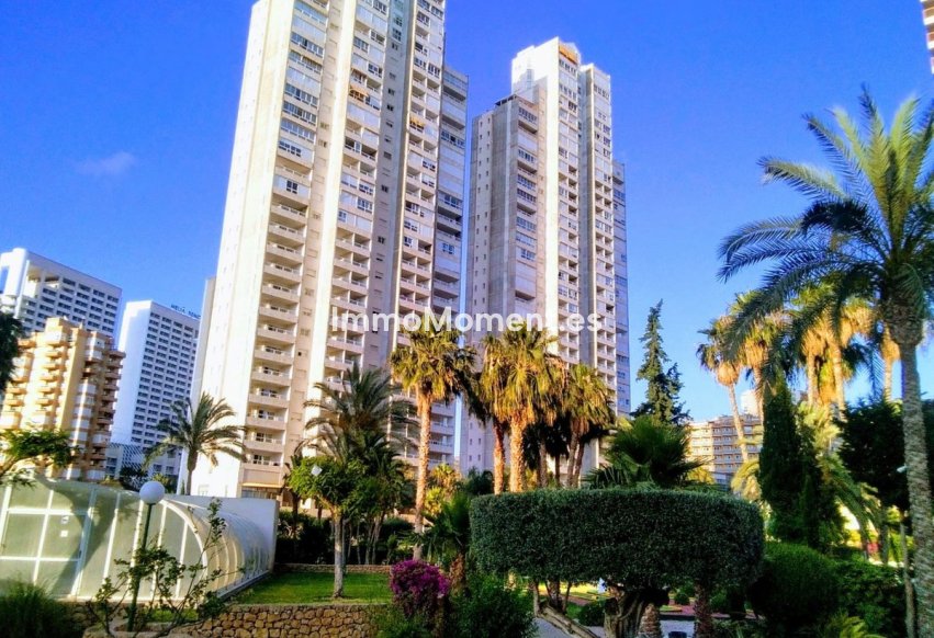 Wiederverkauf - Wohnung - Benidorm - Benidorm Centro