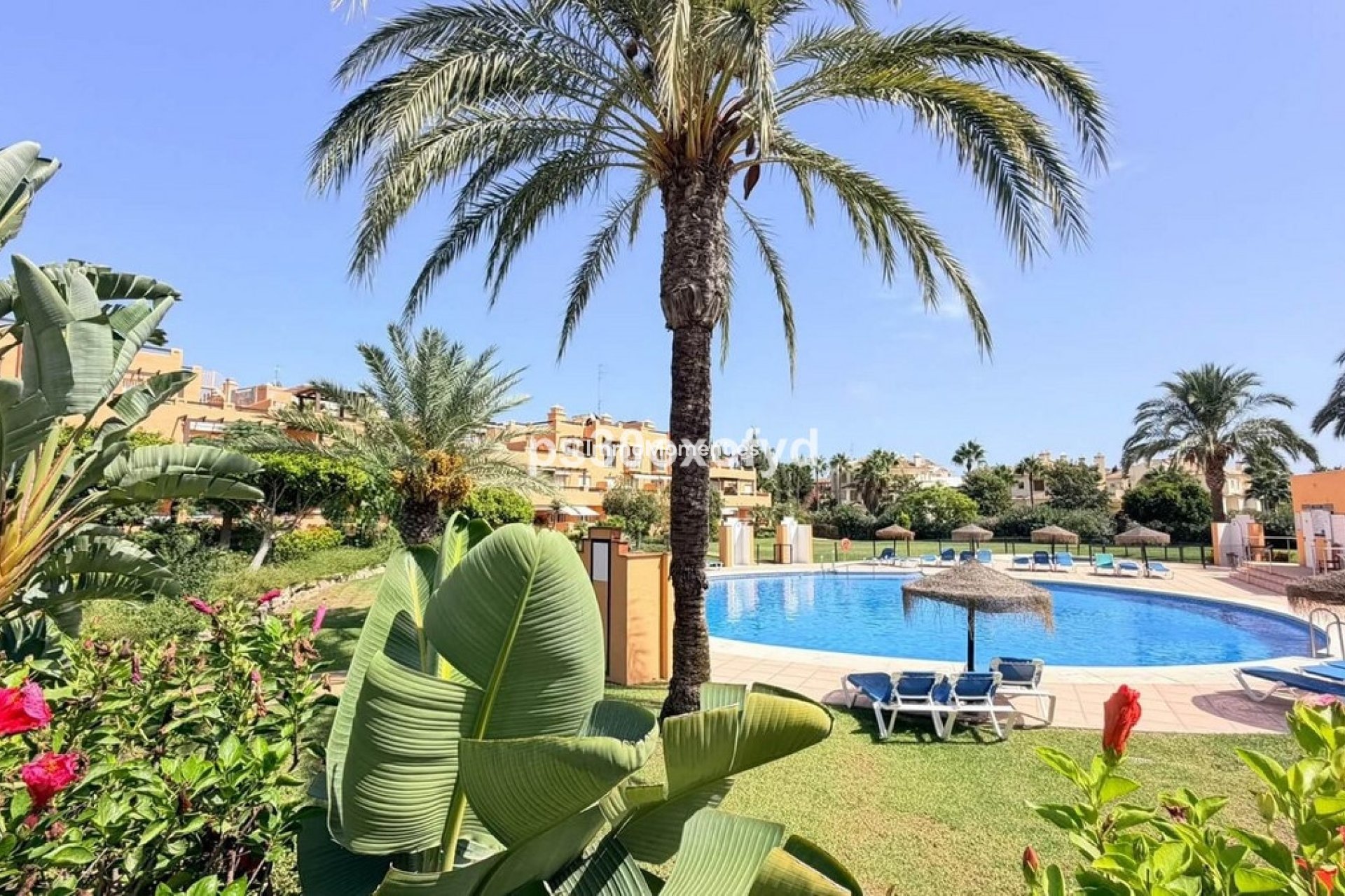 Wiederverkauf - Wohnung - Casares - Casares Centro