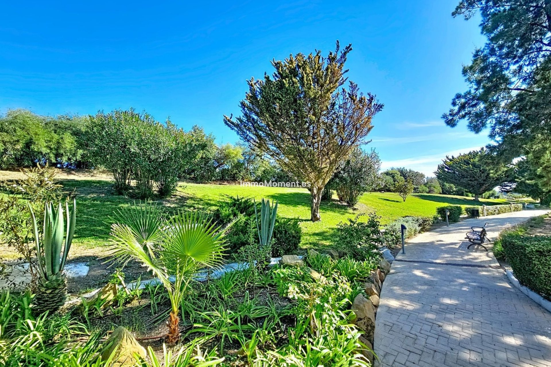 Wiederverkauf - Wohnung - Casares - Casares Centro