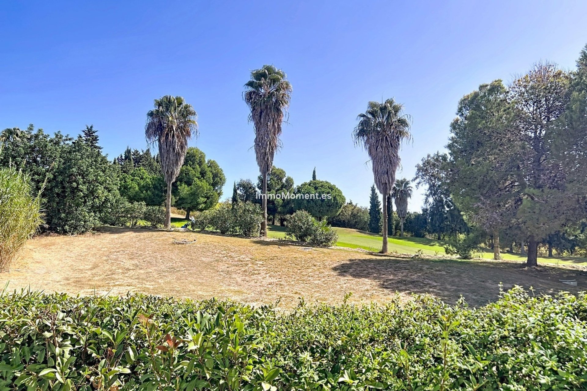 Wiederverkauf - Wohnung - Casares - Casares Centro