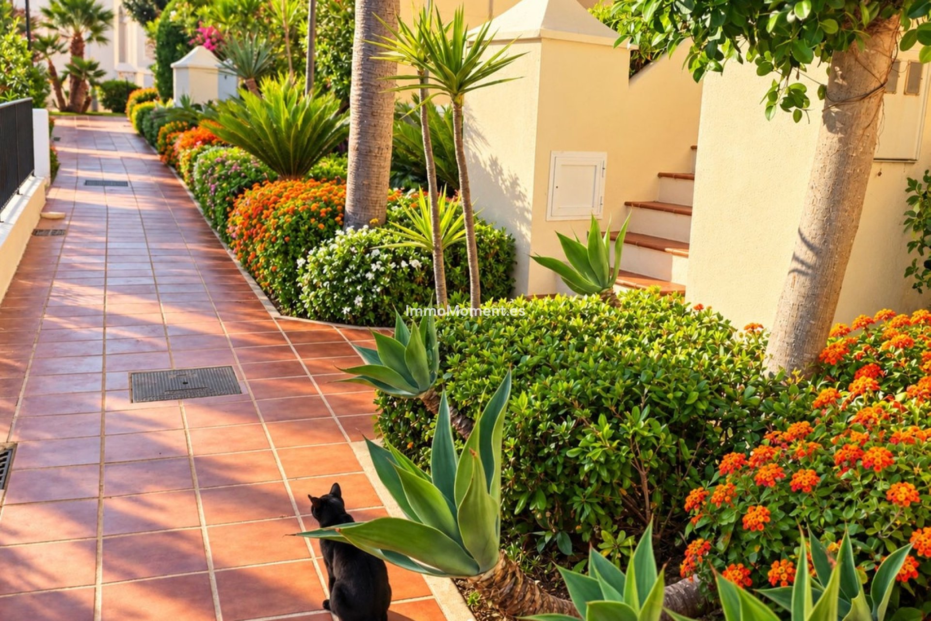 Wiederverkauf - Wohnung - Casares - Casares Playa