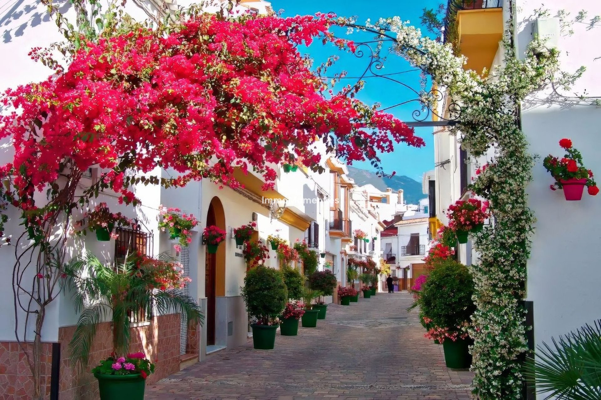 Wiederverkauf - Wohnung - Estepona  - Estepona Centro