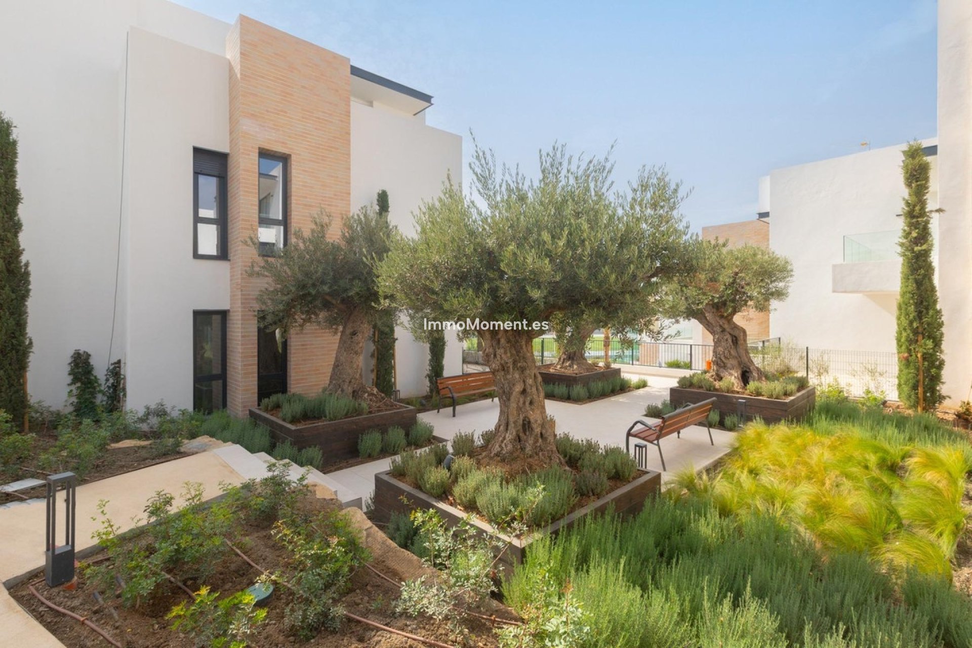 Wiederverkauf - Wohnung - Estepona  - Estepona Centro