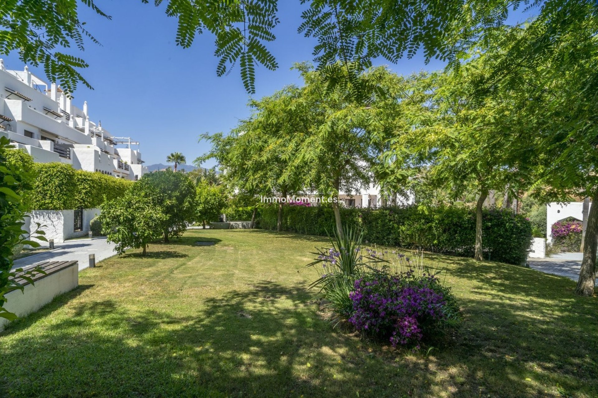 Wiederverkauf - Wohnung - Estepona  - Estepona Centro