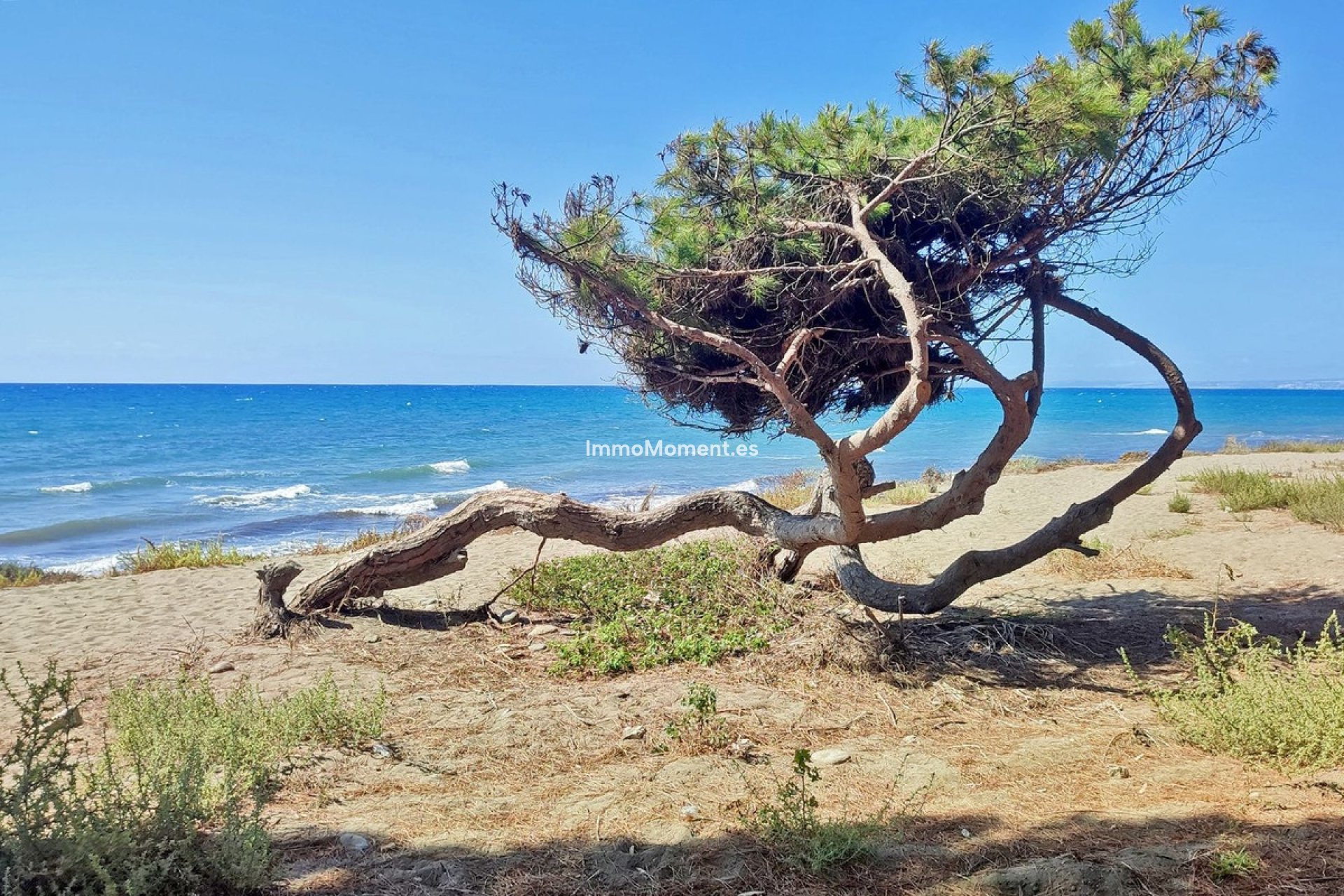 Wiederverkauf - Wohnung - Estepona  - New Golden Mile