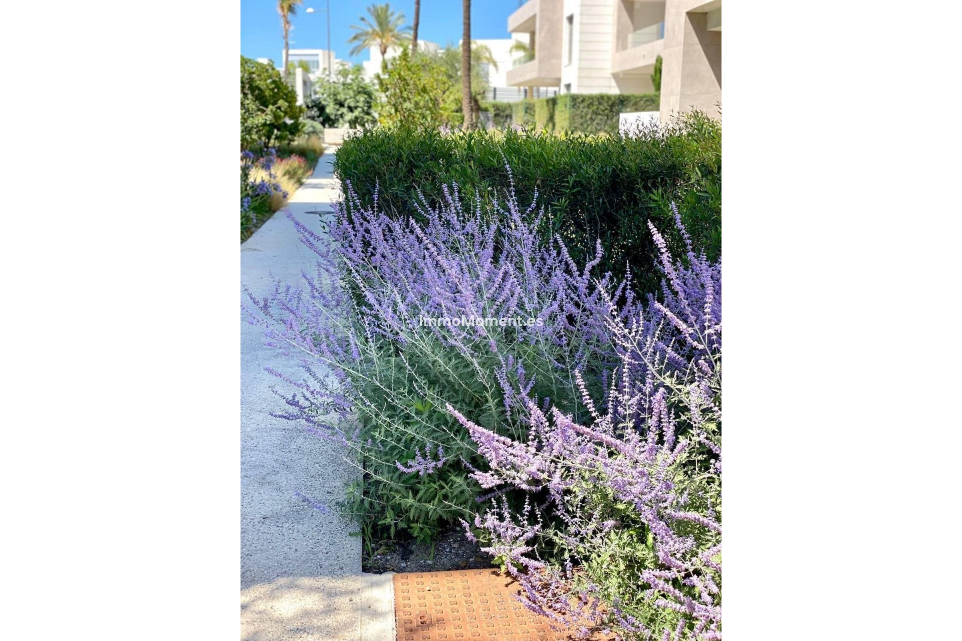 Wiederverkauf - Wohnung - Estepona  - New Golden Mile