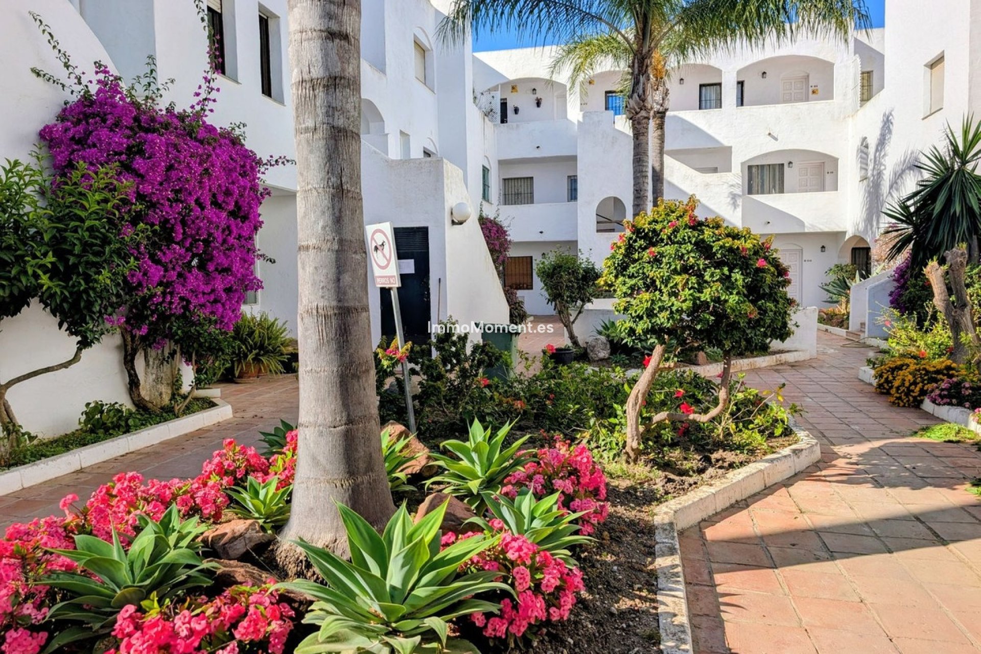 Wiederverkauf - Wohnung - Estepona  - New Golden Mile