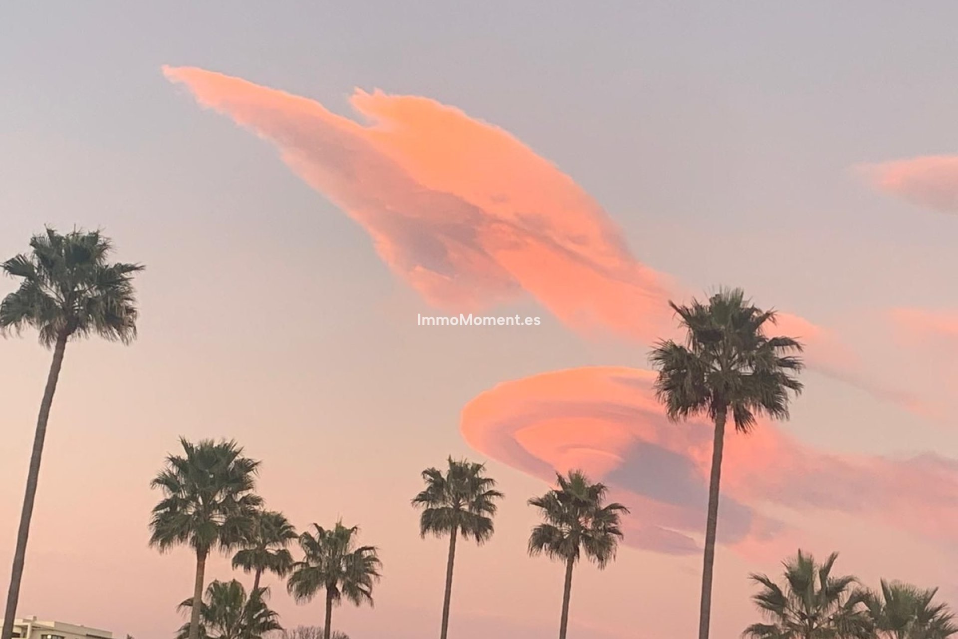 Wiederverkauf - Wohnung - Estepona  - Selwo