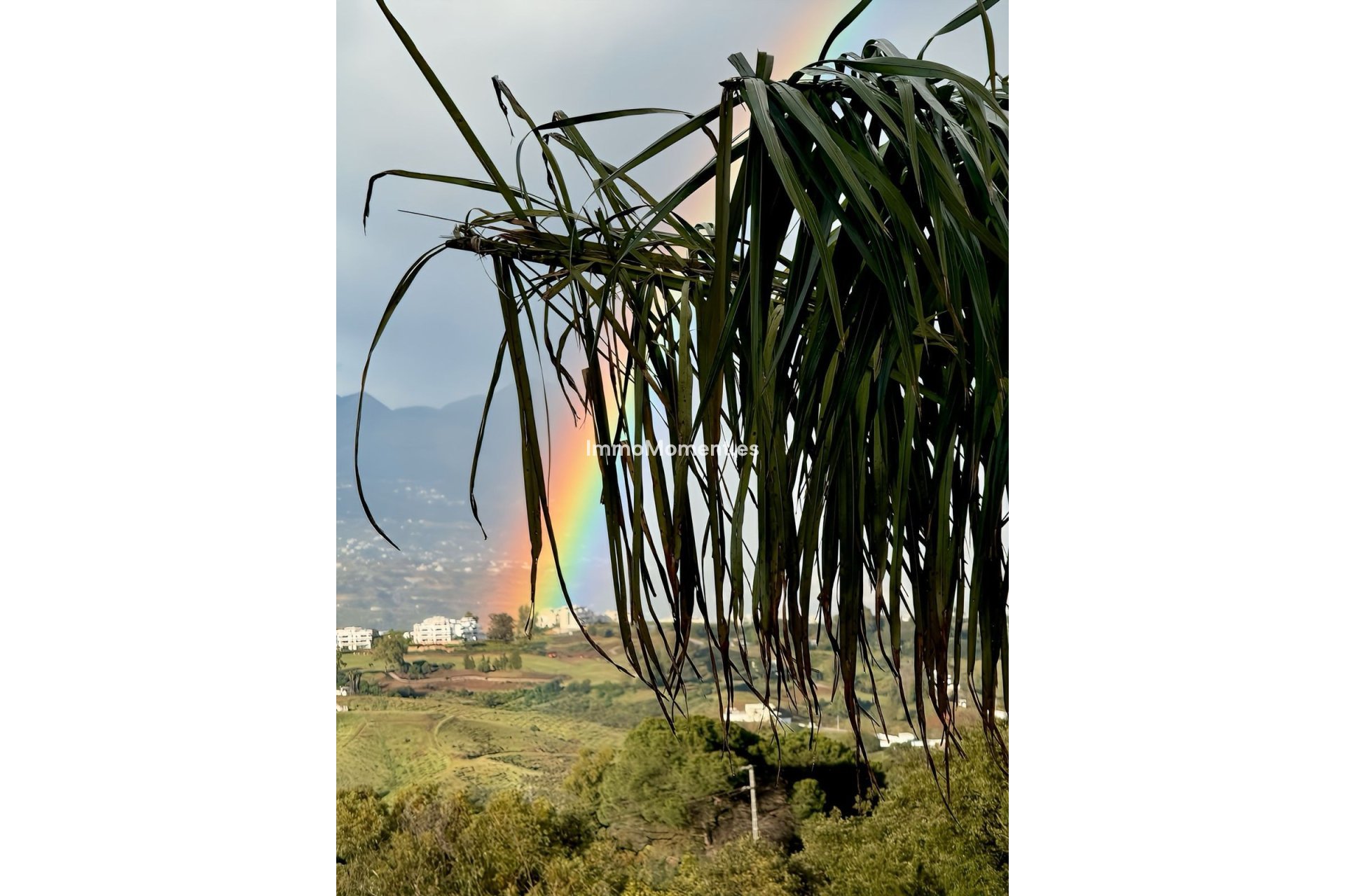 Wiederverkauf - Wohnung -   Inländisch - Ojén