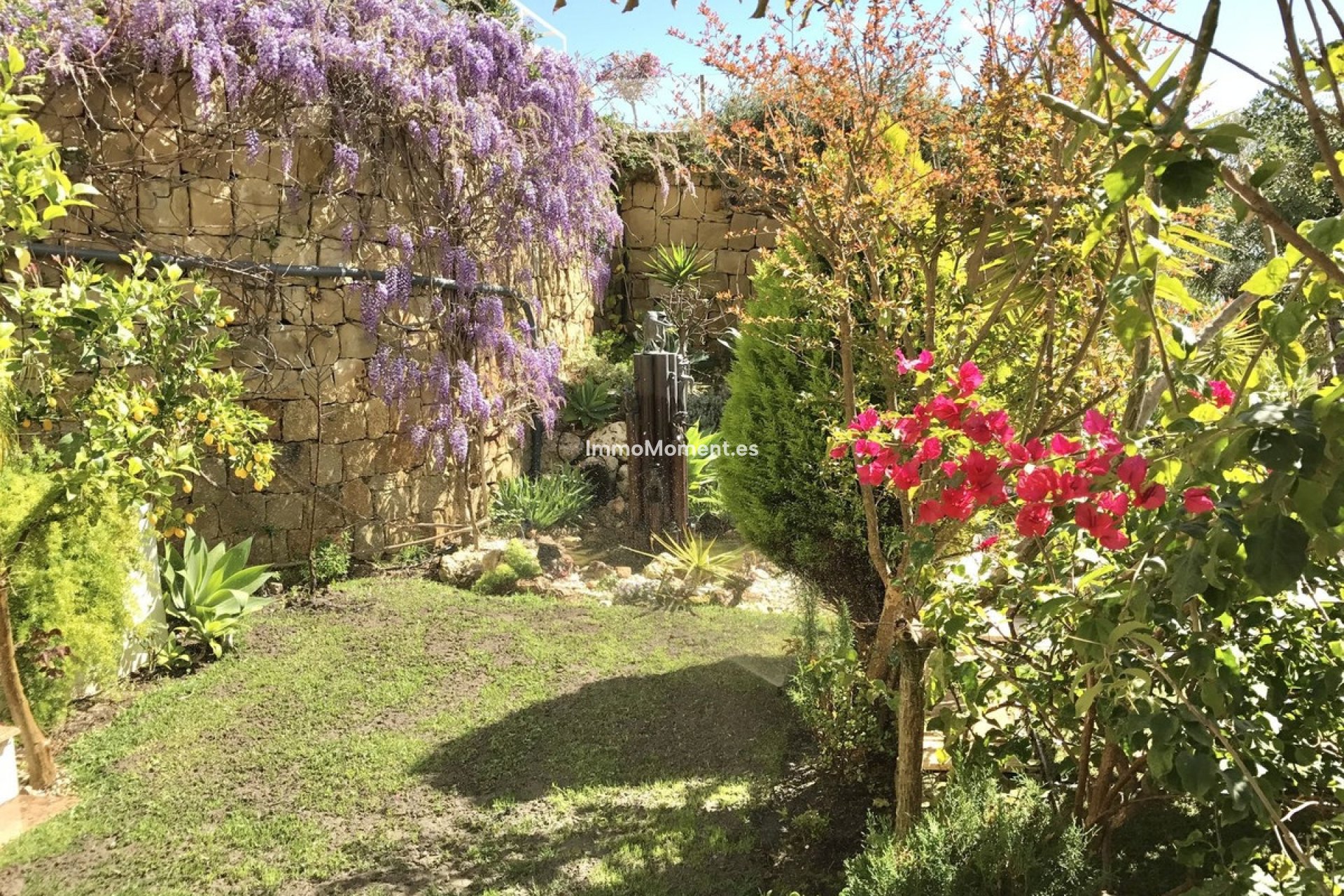 Wiederverkauf - Wohnung - Marbella - Altos de los Monteros