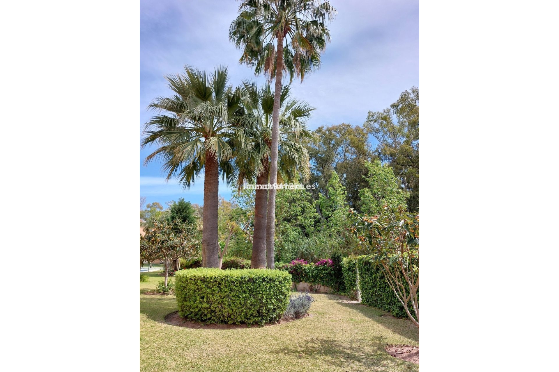 Wiederverkauf - Wohnung - Marbella - Carib Playa