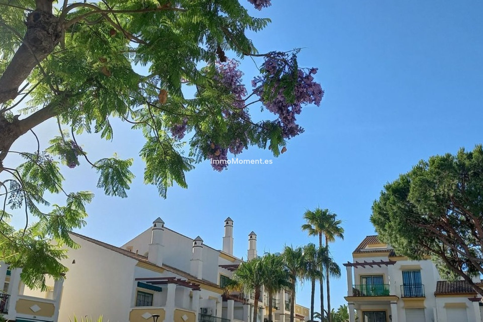 Wiederverkauf - Wohnung - Marbella - Carib Playa