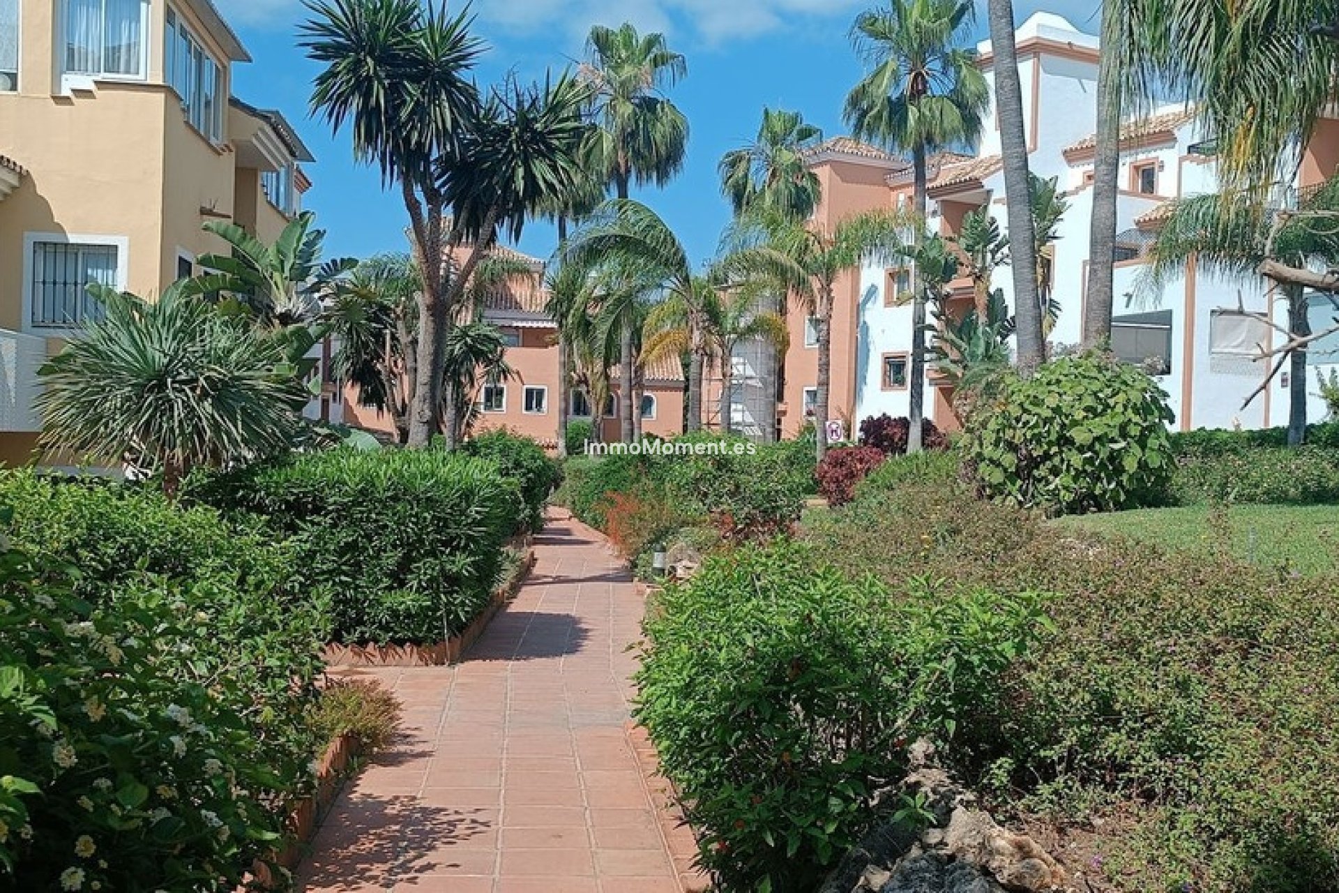Wiederverkauf - Wohnung - Marbella - Guadalmina Alta