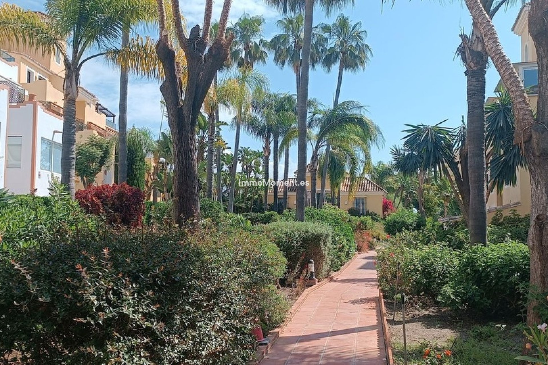 Wiederverkauf - Wohnung - Marbella - Guadalmina Alta