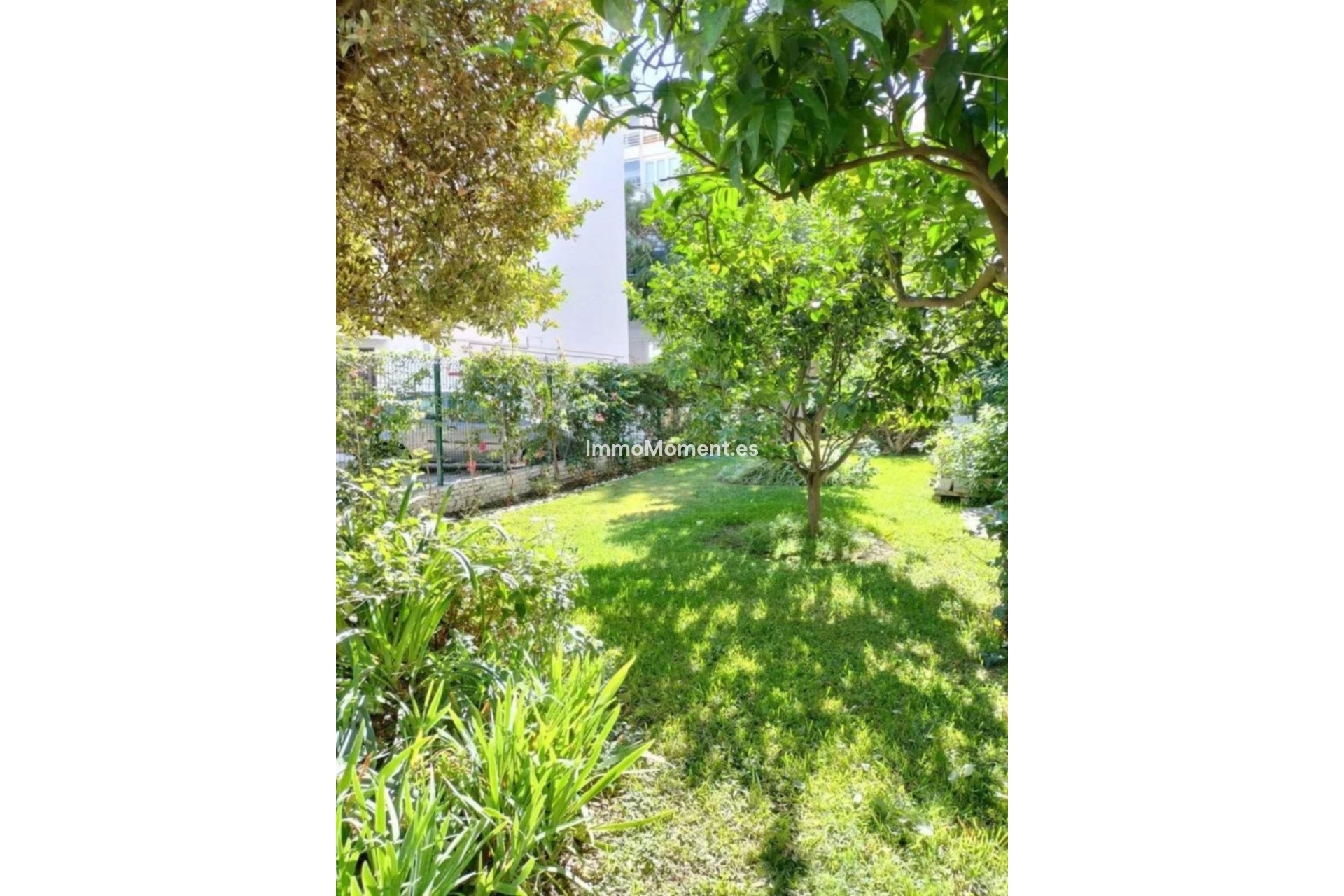 Wiederverkauf - Wohnung - Marbella - Marbella Centro