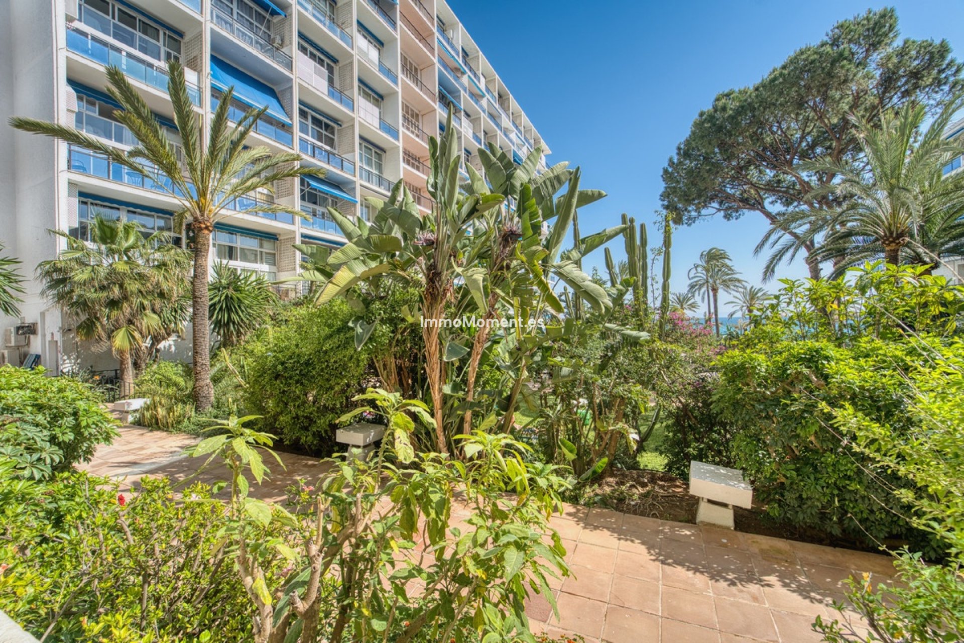 Wiederverkauf - Wohnung - Marbella - Marbella Centro