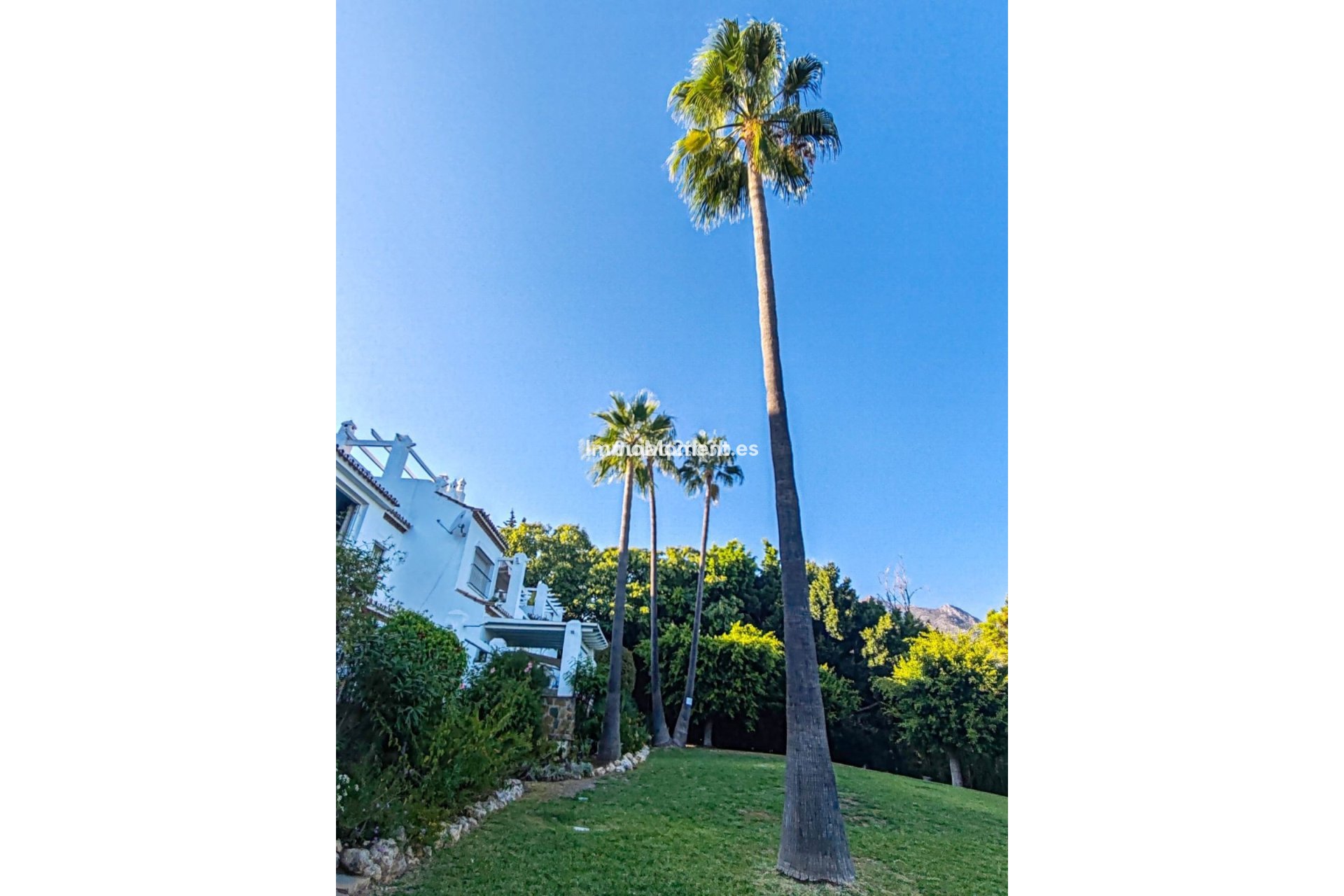 Wiederverkauf - Wohnung - Marbella - Nagüeles