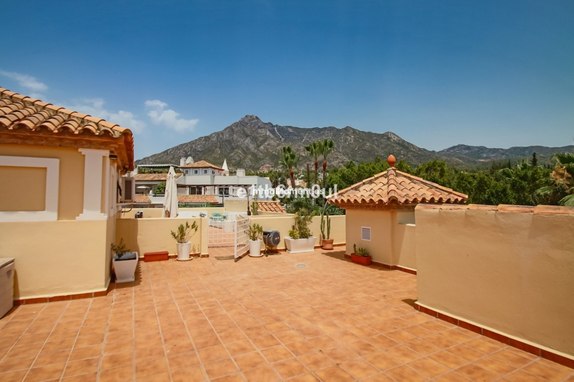 Wiederverkauf - Wohnung - Marbella - Nagüeles