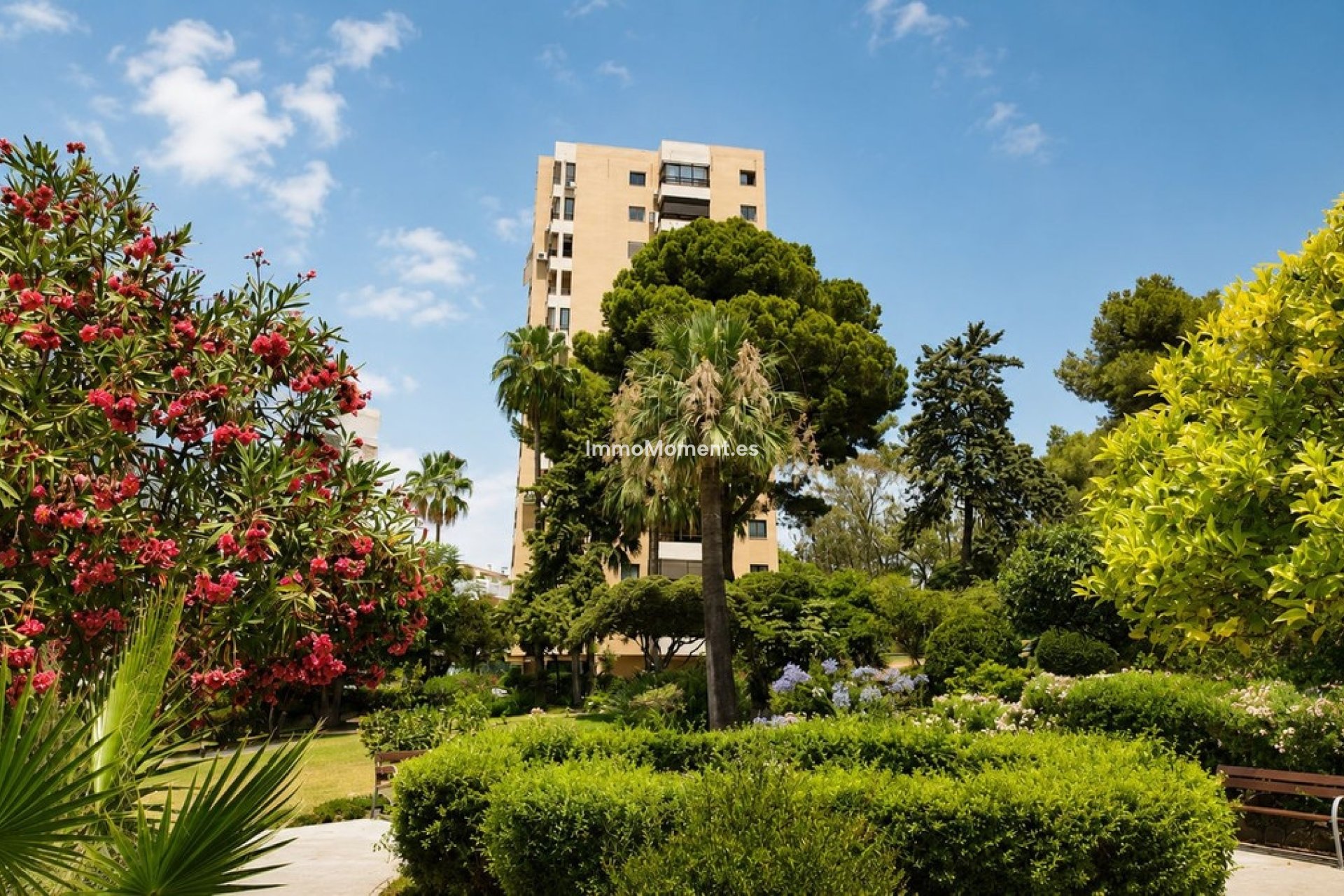 Wiederverkauf - Wohnung - Marbella - Nueva Andalucía