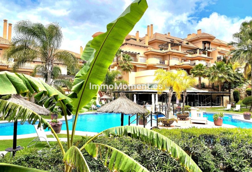 Wiederverkauf - Wohnung - Marbella - Nueva Andalucía
