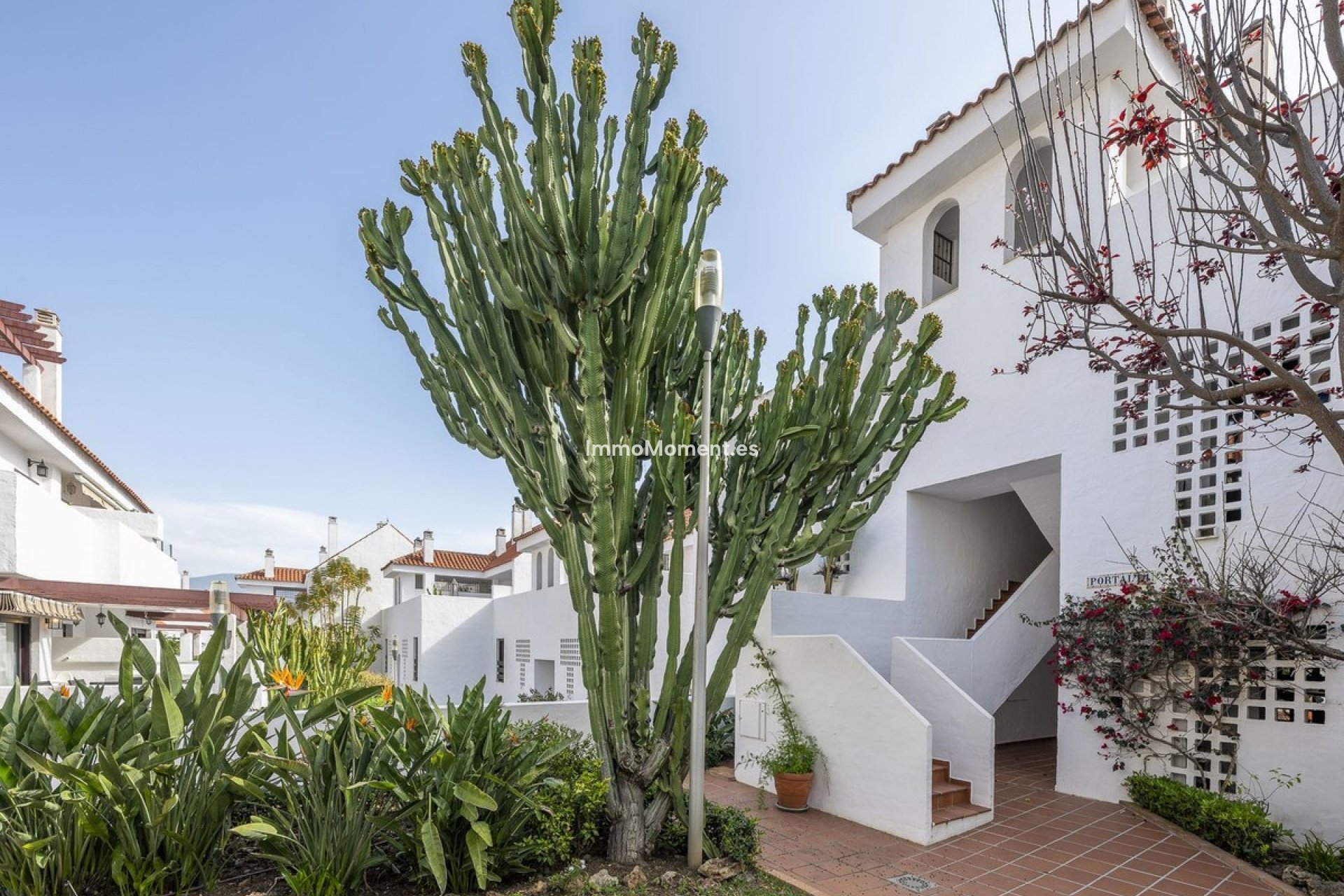 Wiederverkauf - Wohnung - Marbella - Nueva Andalucía