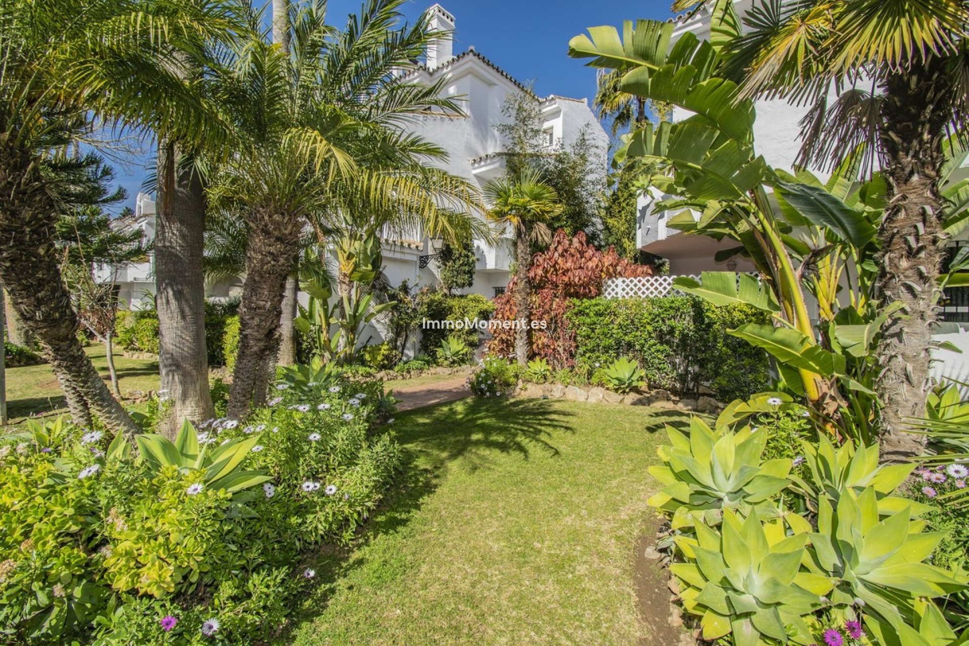 Wiederverkauf - Wohnung - Marbella - Nueva Andalucía