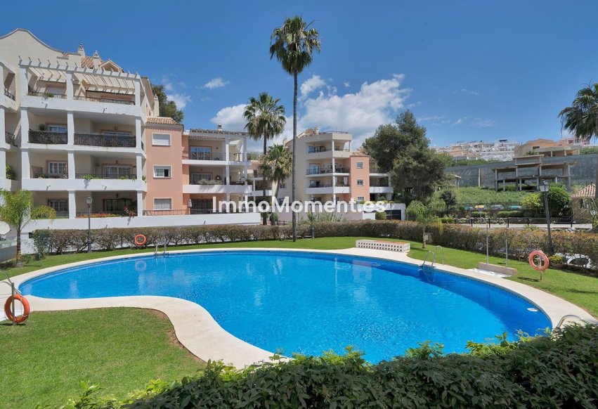 Wiederverkauf - Wohnung - Marbella - Nueva Andalucía