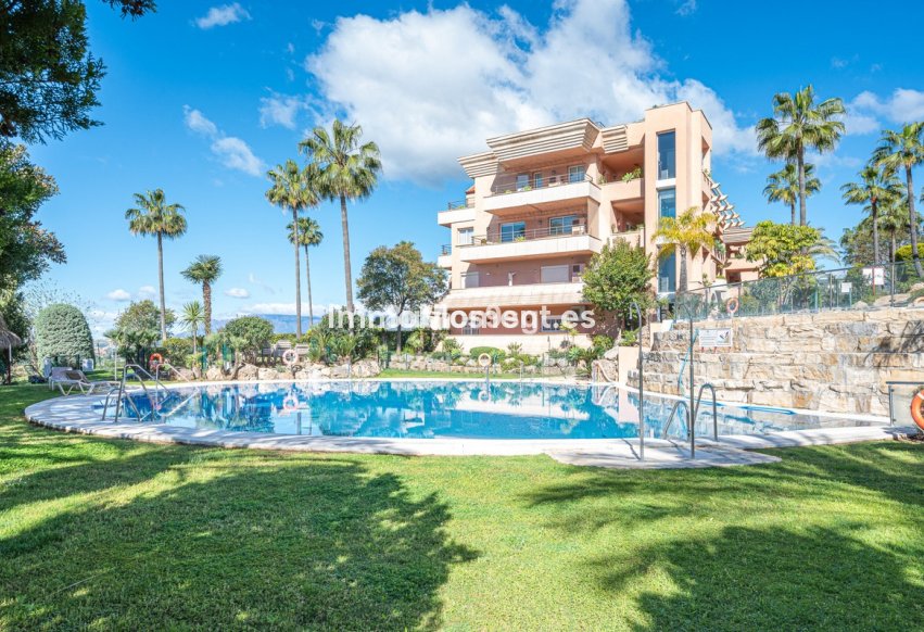 Wiederverkauf - Wohnung - Marbella - Nueva Andalucía