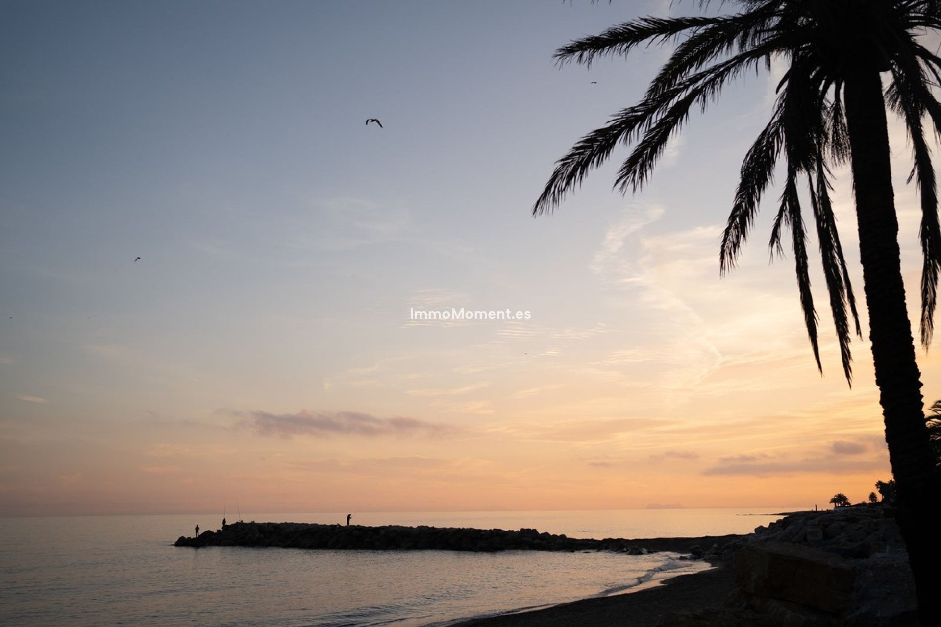 Wiederverkauf - Wohnung - Marbella - Puerto Banús