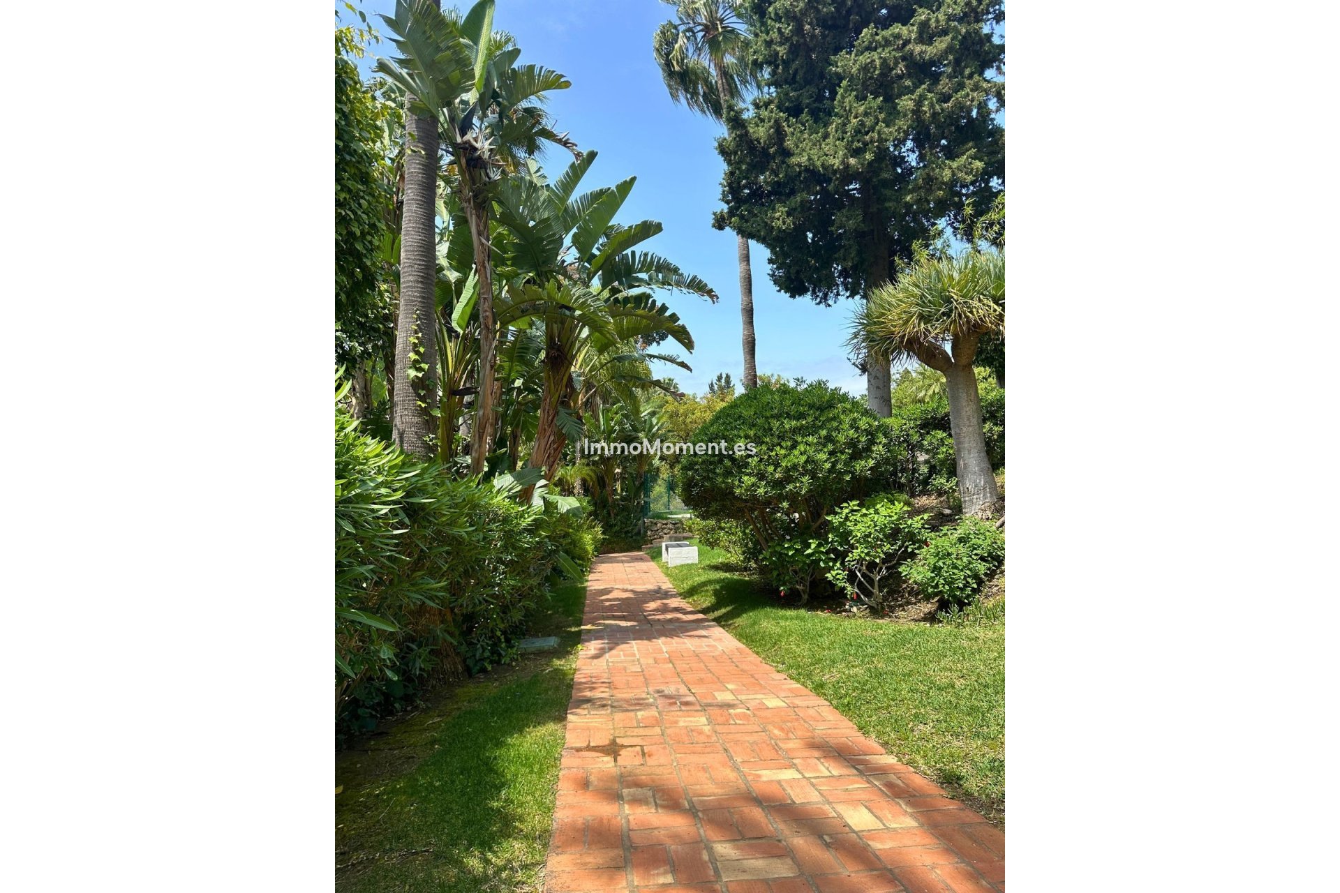 Wiederverkauf - Wohnung - Marbella - Reserva de Marbella