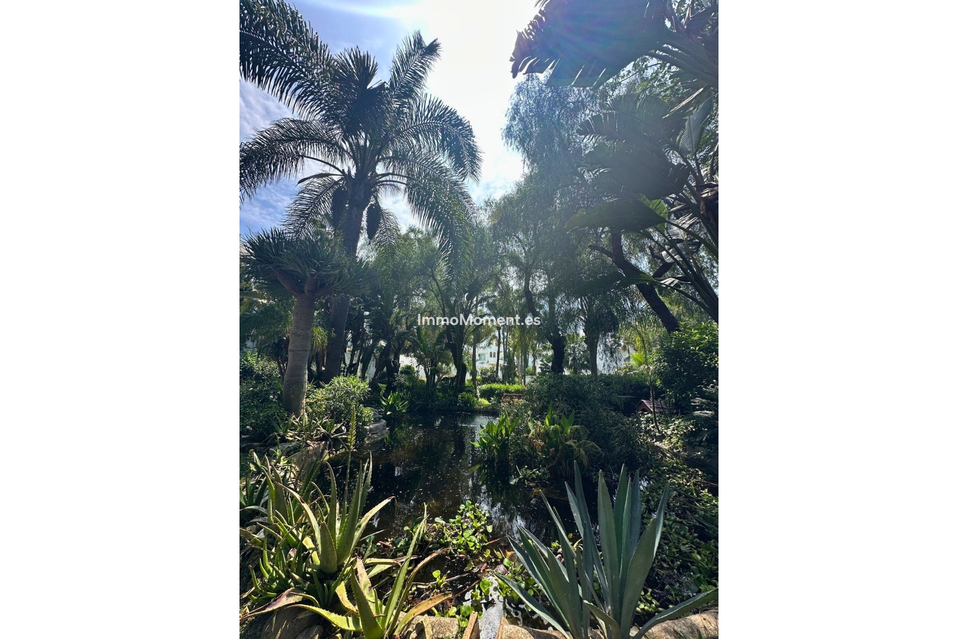 Wiederverkauf - Wohnung - Marbella - Reserva de Marbella