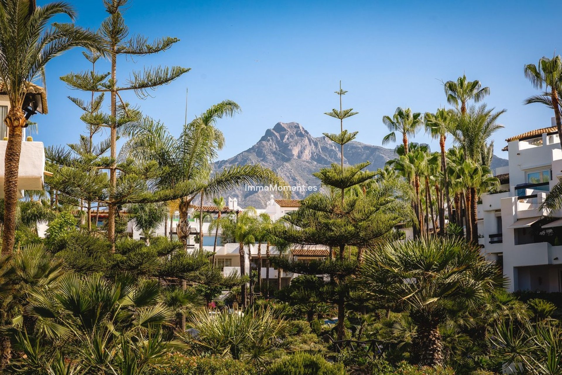 Wiederverkauf - Wohnung - Marbella - The Golden Mile