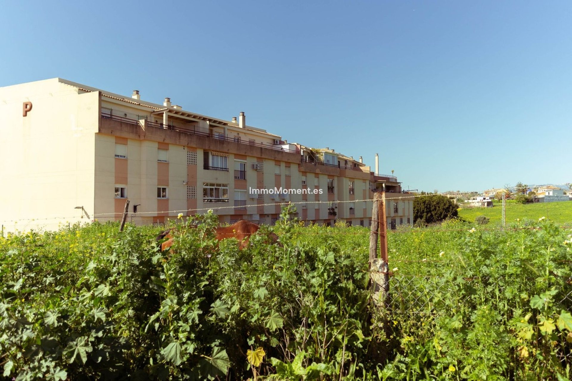 Wiederverkauf - Wohnung - Mijas - Mijas Costa