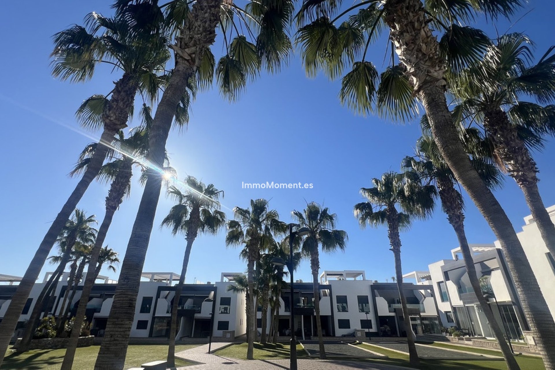 Wiederverkauf - Wohnung - Orihuela - Cabo roig - La Zenia