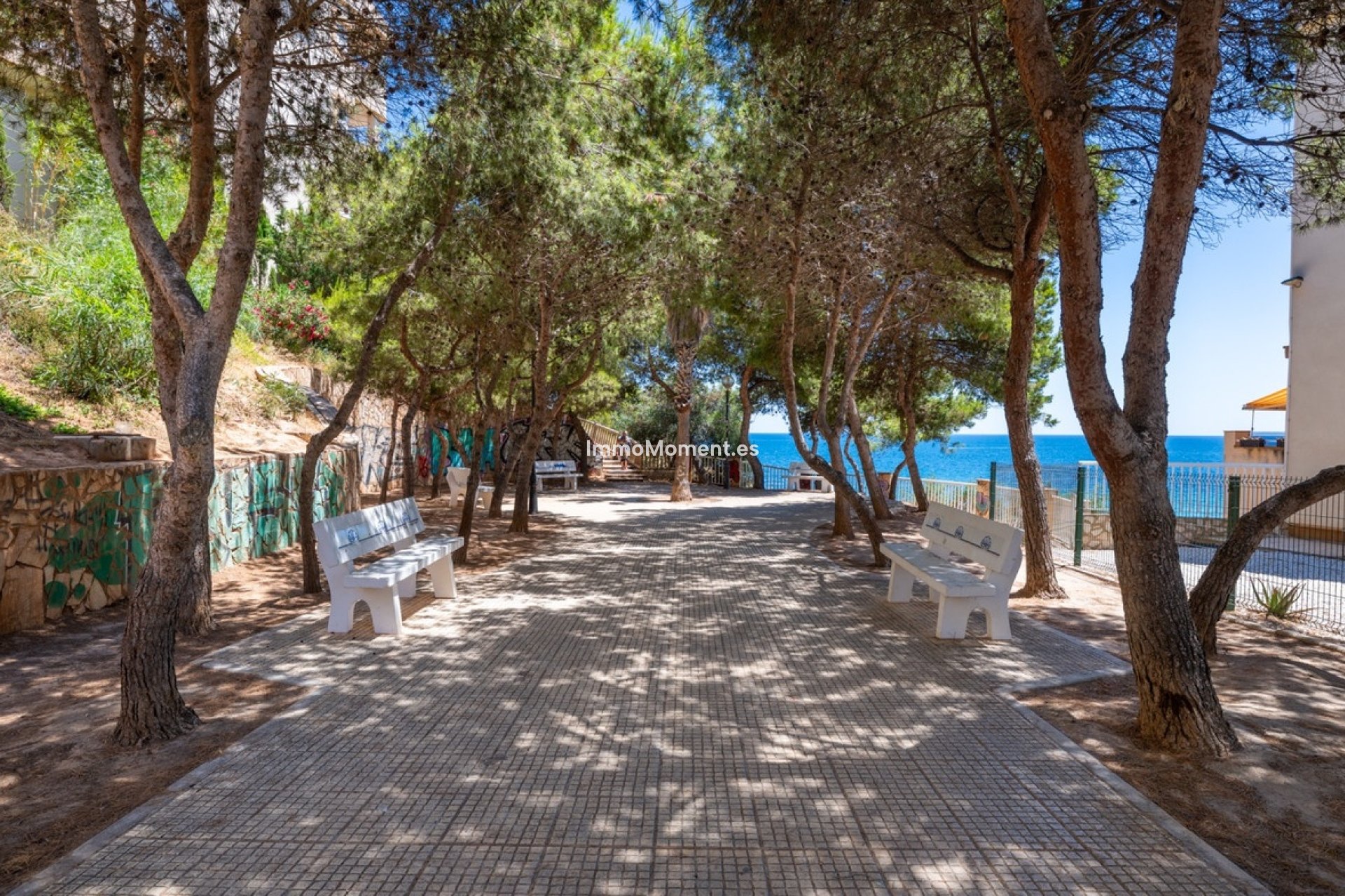 Wiederverkauf - Wohnung - Orihuela - Cabo roig - La Zenia