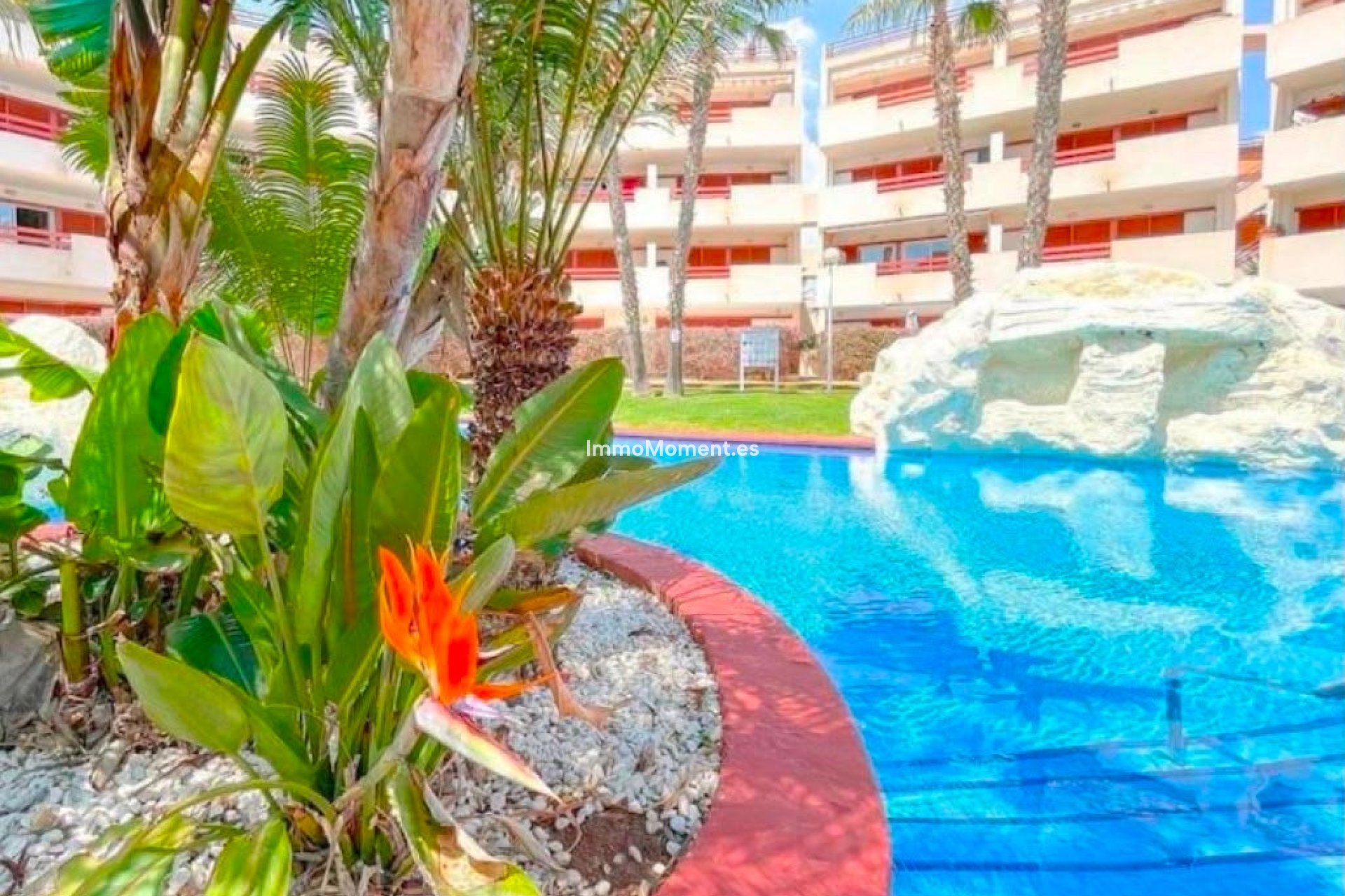 Wiederverkauf - Wohnung - Orihuela Costa - Punta Prima