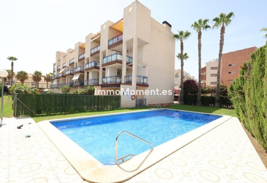 Wiederverkauf - Wohnung - Orihuela - La Regia
