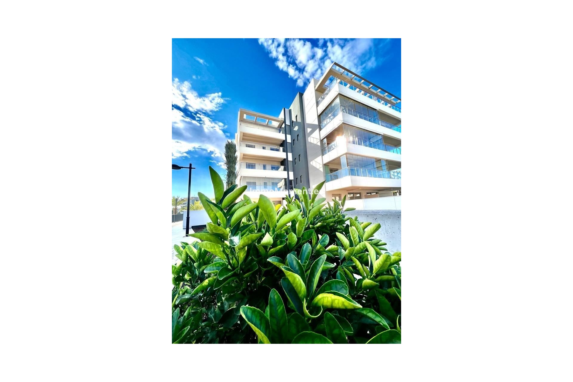 Wiederverkauf - Wohnung - Orihuela - Los Dolses