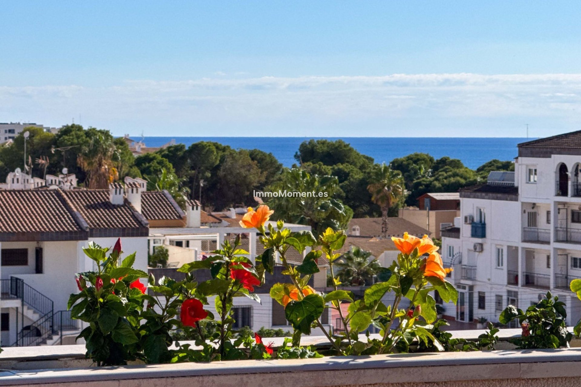 Wiederverkauf - Wohnung - Orihuela - Punta Prima