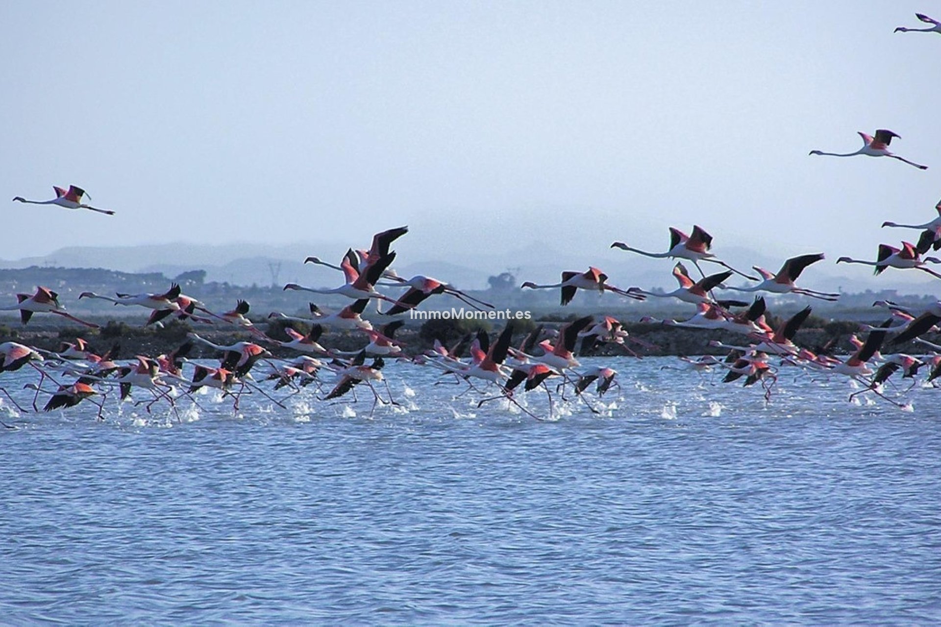 Wiederverkauf - Wohnung - Santa Pola - Gran Alacant