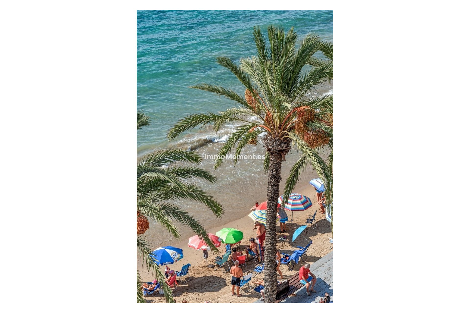 Wiederverkauf - Wohnung - Torrevieja - Torrevieja Centro