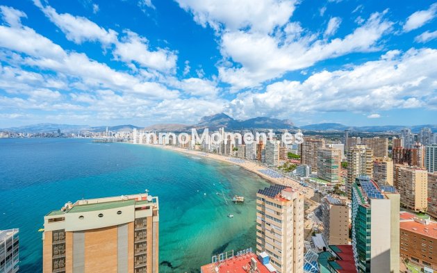 Wohnung - Wiederverkauf - Benidorm - Benidorm Centro