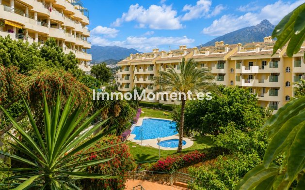 Wohnung - Wiederverkauf - Marbella - Nueva Andalucía