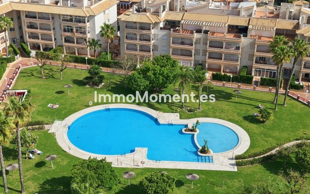 Wohnung - Wiederverkauf - Orihuela - Orihuela Centro