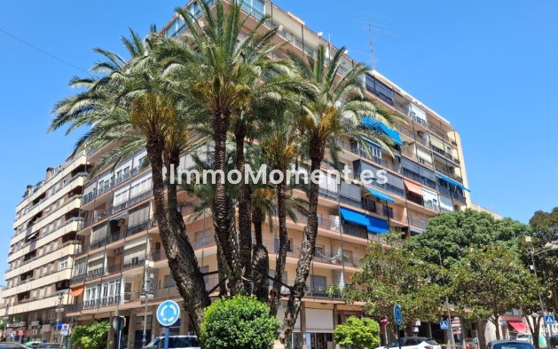 Wohnung - Wiederverkauf - Orihuela - Orihuela Centro
