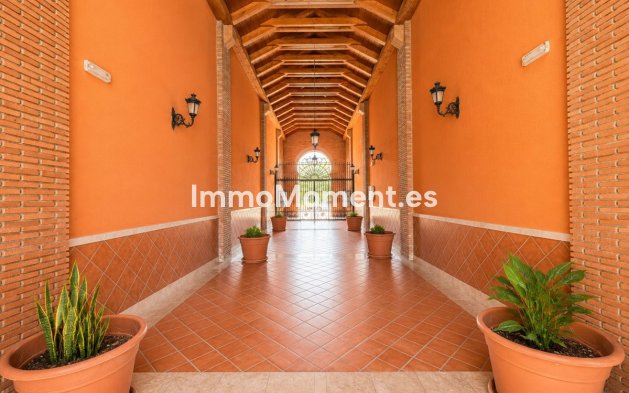 Bestaande woning - Appartement - Manilva - La Duquesa