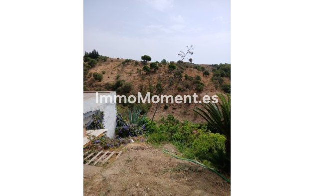Bestaande woning - Landhuis - Estepona  - Estepona Centro